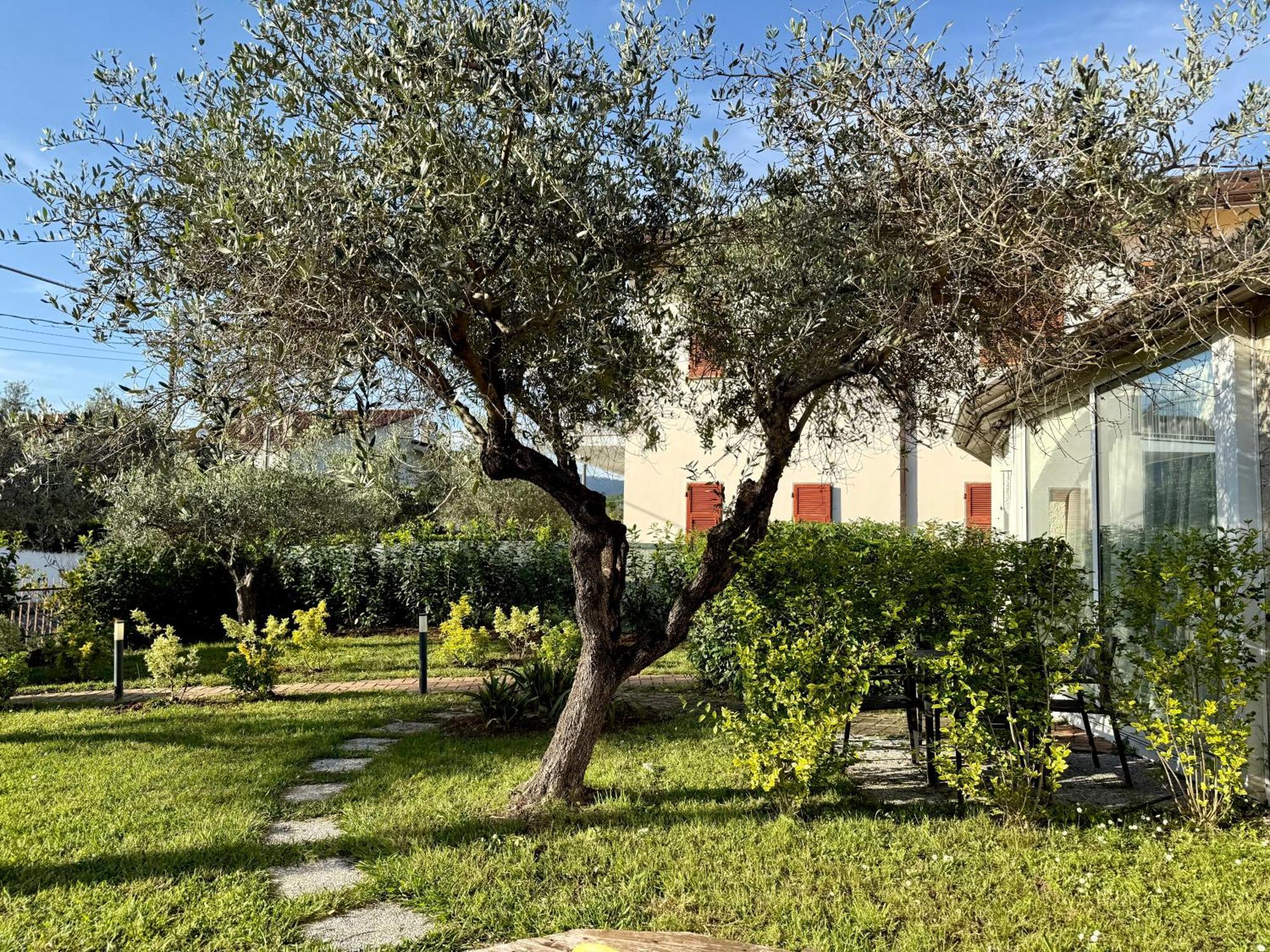 Abitatt Aparthotel Fosdinovo Exterior foto